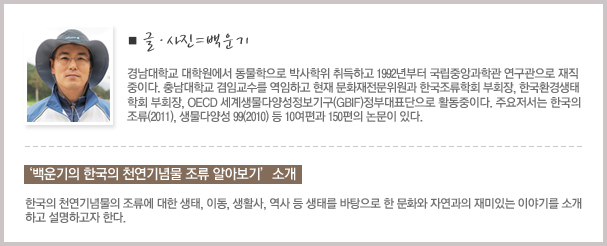 글, 사진 백운기. 경남대학교 대학원에서 동물학으로 박사학위 취득하고 1992년부터 국립중앙과학관 연구관으로 재직 중이다. 충남대학교 겸임교수를 역임하고 <br/> 현재 문화재전문위원과 한국 조류학회 부회장, 한국환경생태학회 부회장, OECD 세계생물다양성정보기구(GBIF)정부대표단으로 활동중이다. 주요저서는 한국의 조류(2011), 생물다양성 99(2010) 등 10여편과 150편의 논문이 있다.<br/> / 백운기의 한국의 천연기념물 조류 알아보기 소개 <br/>한국의 천연기념물의 조류에 대한 생태, 이동, 생활사, 역사 등 생태를 바탕으로 한 문화와 자연과의 재미있는 이야기를 소개하고 설명하고자 한다.